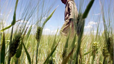 8356619F 48AC 4363 B4B1 70B8A4F5A60C