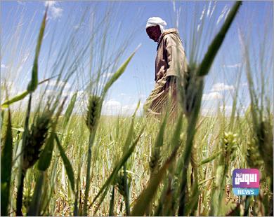 8356619F 48AC 4363 B4B1 70B8A4F5A60C