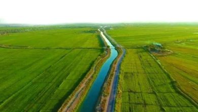 84288C51 2DD6 46FA 883A BFDD90295F2A