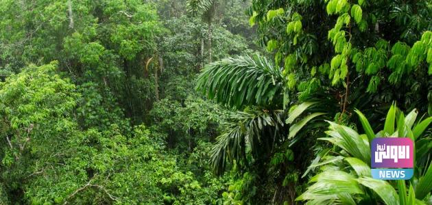 85CA88C4 6DD1 4EDA AE9F E52547E6A582