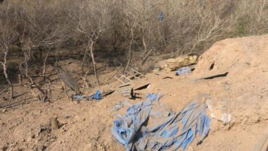 88C60DCE 5527 4D32 9812 B23BBDC2F44A