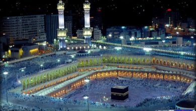 8AE3C5EB 59C0 415A AC6D 0801C1282322