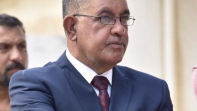 8B8DB2B3 5D27 438C A31F 79451886693C