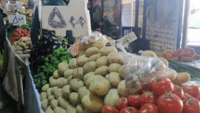 الزراعــة: حـقـقـنـا الاكتـفـاء الــذاتـي لأغـلـب المحاصيـل 2 9083C566 37B9 40B1 BD17 96985210174F