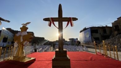 954452C1 D3AC 4A1C B741 6B719AC69886