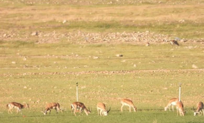 9A8488F1 BE10 4422 82B9 D7C4852B5034