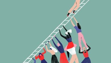 9BAF00CF 2A83 42F2 AF0C E33E55928765