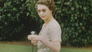 9D5FA2EF BC40 41B4 9DF1 7A65B32B5891