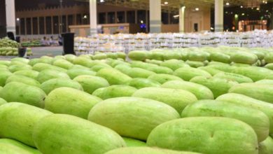 9DD94271 74B8 4B64 B458 D4F8648E27FC