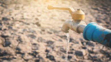 A1E7F029 AE29 455C 8044 E8F6C14F4842