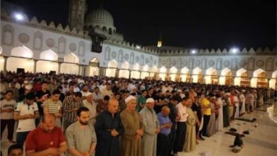 A8F80F19 AA84 485E 99E6 F269E6C717B4