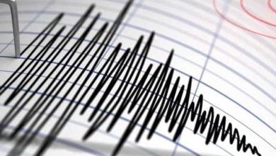 AFD8AD65 F893 42D9 B5E5 75973F1DAB77