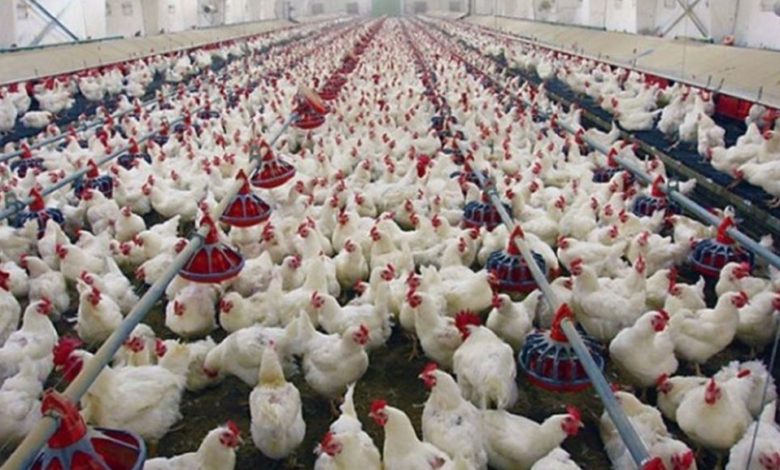 B2D320A8 522D 4AF8 A31E 32538CC314EC