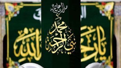 B69E6D08 5BEB 4D1E B13D 44500252E1CD