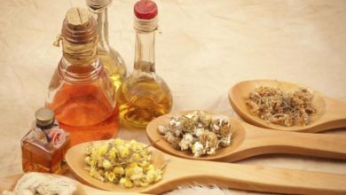 B90E1E79 1608 4265 ACE5 6EFEB918A1EC