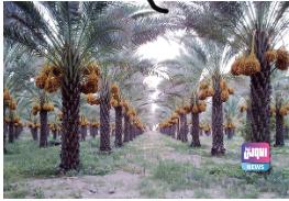 B920D6AA 82AF 4D3F A178 19805EDB26D6