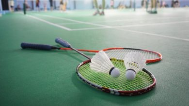 Badminton الريشة الطائرة