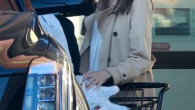 C54F1F52 DBA5 4109 A205 EC213E6DAB7F