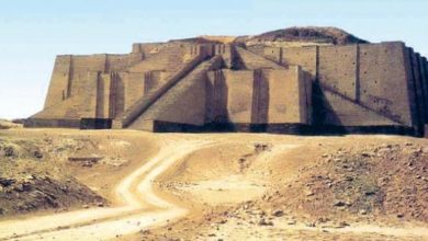 C5571FEC C521 4304 9CD2 0FF053CBC649