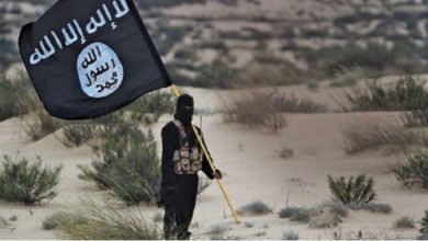 C7699D03 49B7 4976 B224 3A263BA04D99