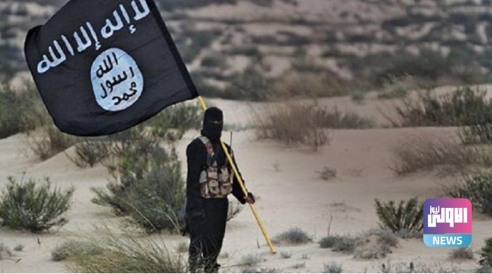 C7699D03 49B7 4976 B224 3A263BA04D99