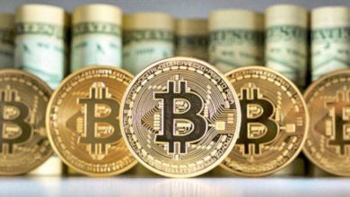 C9F1840D 5F17 45EB A204 BAF0527A652B