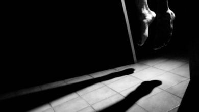 CB9A3C73 C767 4A52 AC31 F2F26C7C1094