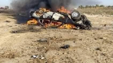 CD9C0466 FE28 44A0 B965 3031C43B7D86