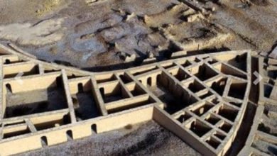 أور.. مهد النبي إبراهيم يستعد لاستقبال بابا الفاتيكان 3 D238CB38 4A80 4244 BEA0 3D087F1371B1