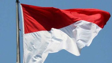 D297426A 1E27 4A8B B4F3 89E564DE25EC