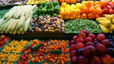 DA8B22FF F695 44FA 921D B8E0C711B919