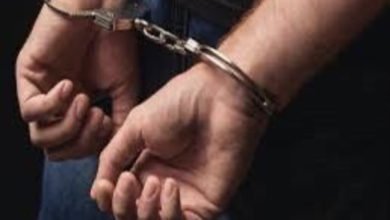 DC1E025A F5E9 4DA3 A87C 7E52DE9C15FC