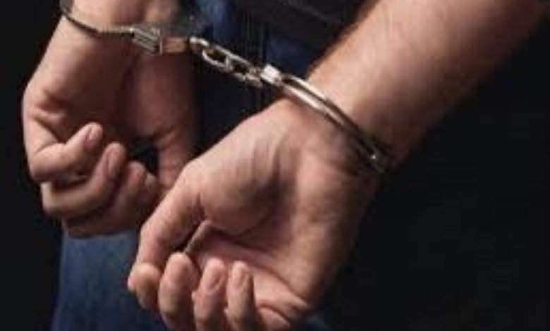 DC1E025A F5E9 4DA3 A87C 7E52DE9C15FC