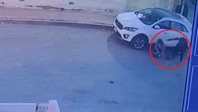 DD9DD80B 2E34 4D47 A758 59DB2C543102