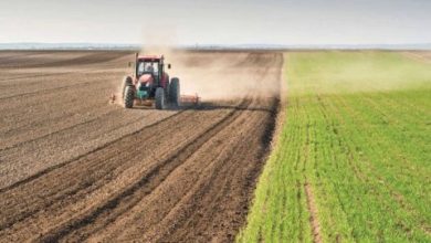 E3349F72 5CCB 4C58 BC84 B7152F6A2E57