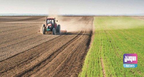 الزراعة تحدد سبب تقليص خطَّتها الصيفية وتحذّر من قلة الدعم للفلاحين 1 E3349F72 5CCB 4C58 BC84 B7152F6A2E57