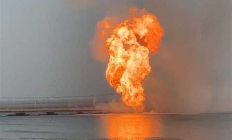 E9A199A6 C230 40D9 9D62 7DE8065573D6