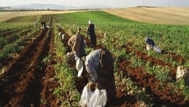 F54A30ED 9295 409B 94EF D43F2C8D184E