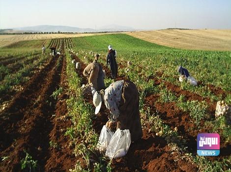 F54A30ED 9295 409B 94EF D43F2C8D184E