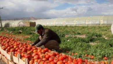 F95557AC 15F4 479F B244 BDF370E8541C