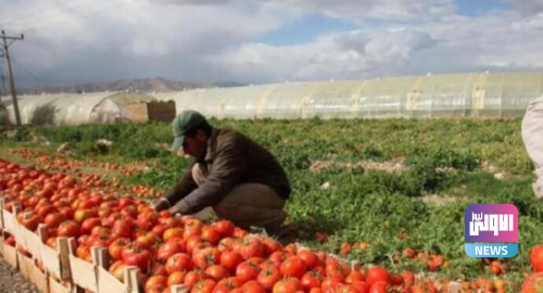 F95557AC 15F4 479F B244 BDF370E8541C