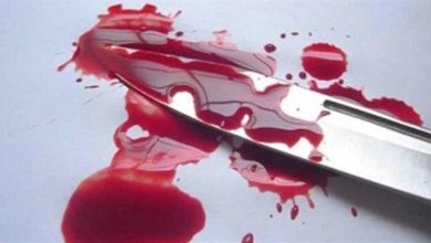 F9FEA01C 15E3 4281 8768 0F228F1C9FD0