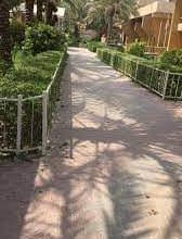 FB IMG 1615380643828