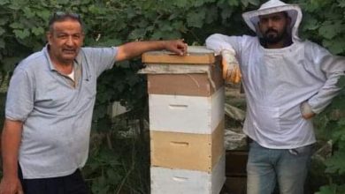 FB IMG 1616713256568