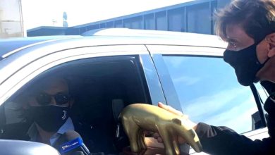 بيرلو وإبرا ضحايا أغرب جوائز العالم"الخنزير الذهبي" 3 photo 2021 03 12 10 14 11