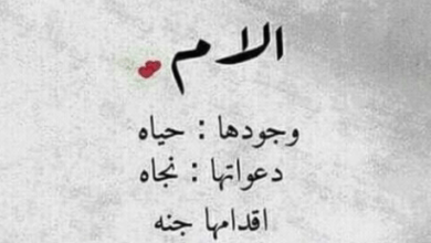 أهمية الأم وقدسيتها