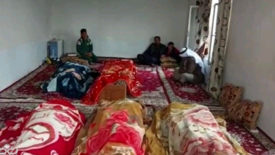 ٢٠٢١٠٣١٤ ١٨٥٩٥٦