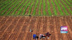 01CAC390 D98F 4725 A680 8A6C4845E8C9