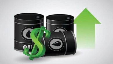 05272571 7C8D 402B 9240 2755CABFBE4F