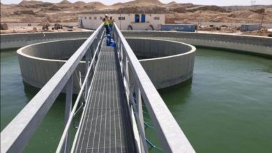 0FECF858 48A8 4BD9 B74E F58A0E867548